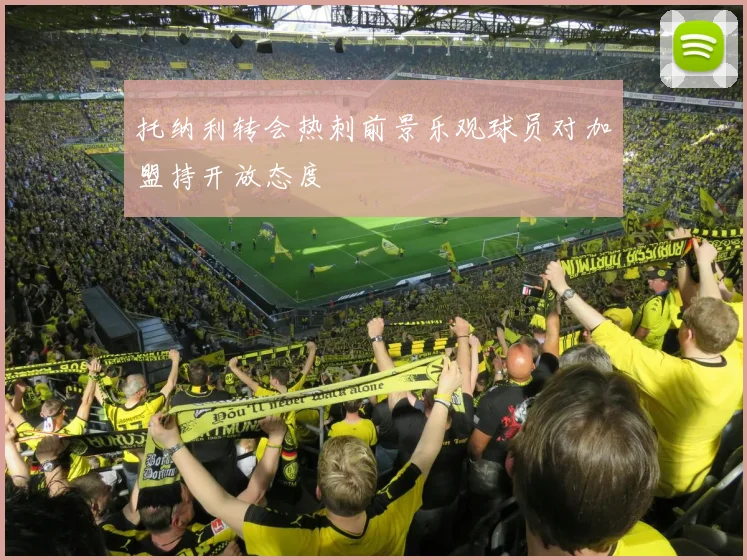 托纳利转会热刺前景乐观球员对加盟持开放态度