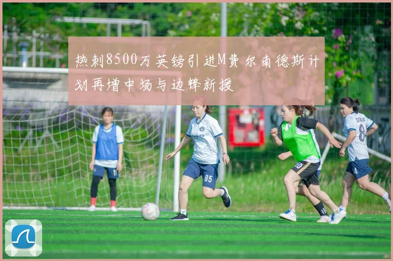 热刺8500万英镑引进M费尔南德斯计划再增中场与边锋新援