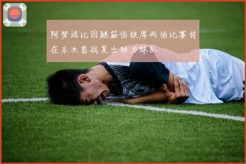 阿努诺比因腿筋伤缺席两场比赛将在东决首战复出助力球队