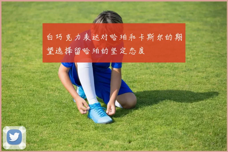 白巧克力表达对哈珀和卡斯尔的期望选择留哈珀的坚定态度